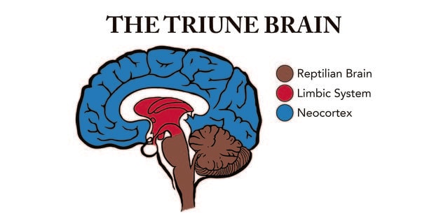 Triune Brain