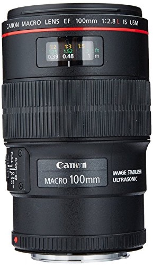 Canon EF 100mm f/2.8L Macro IS USM