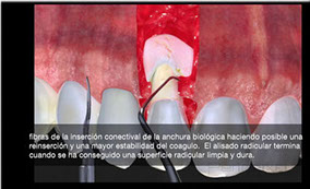 captura de pantalla 2014-01-26 123734